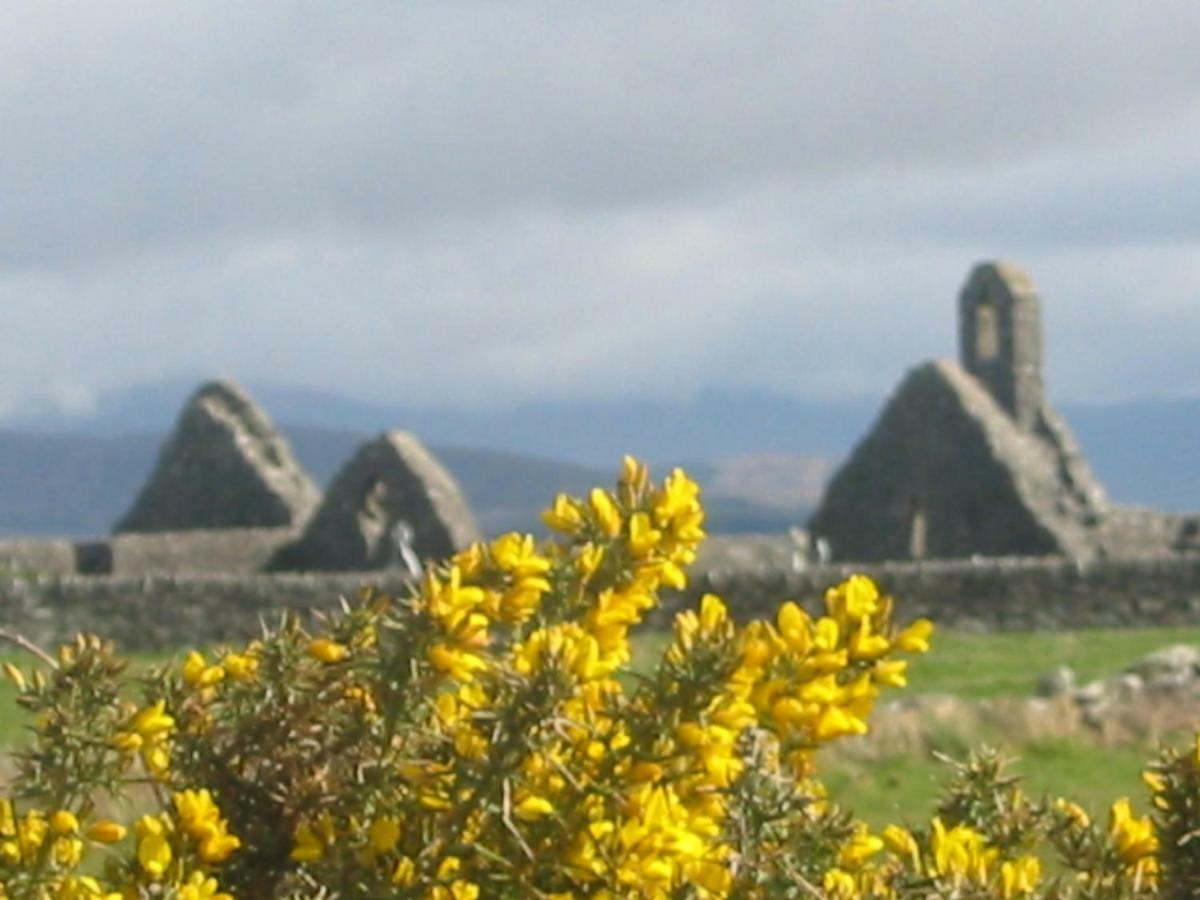 Rose Cottage Ballinskelligs Exterior foto